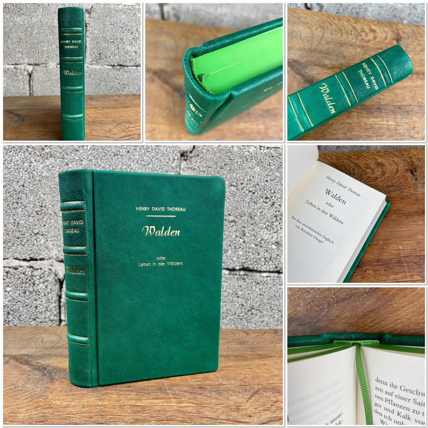 Henry David Thoreau - Walden - oder das Leben in Wäldern - Ledereinband -
