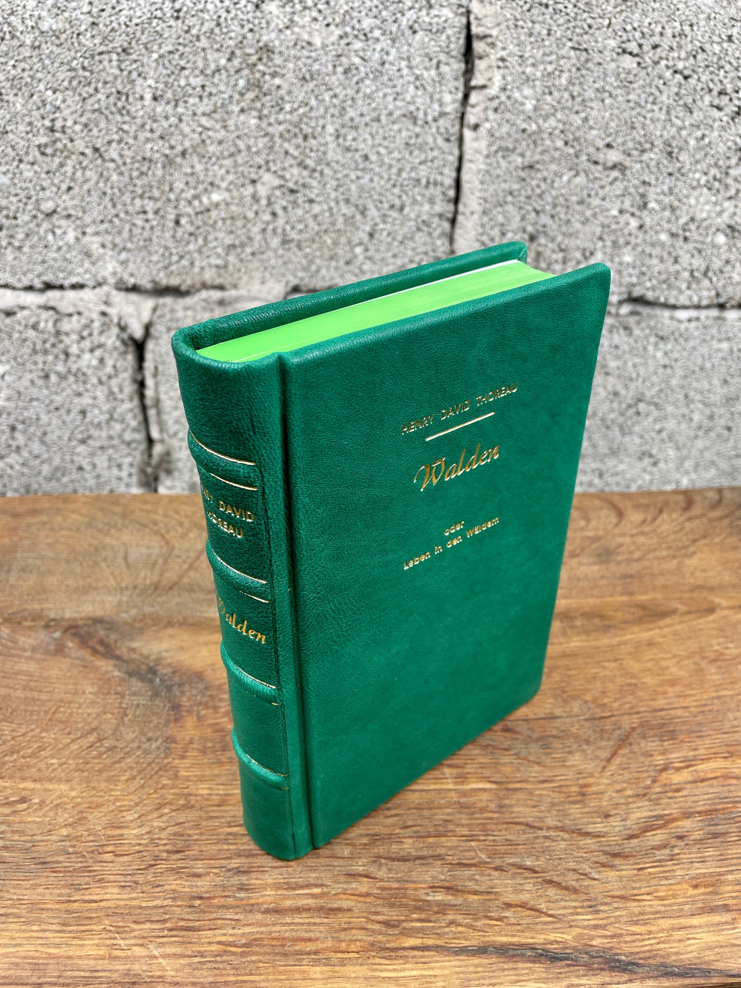 Henry David Thoreau - Walden - oder das Leben in Wäldern - Ledereinband -