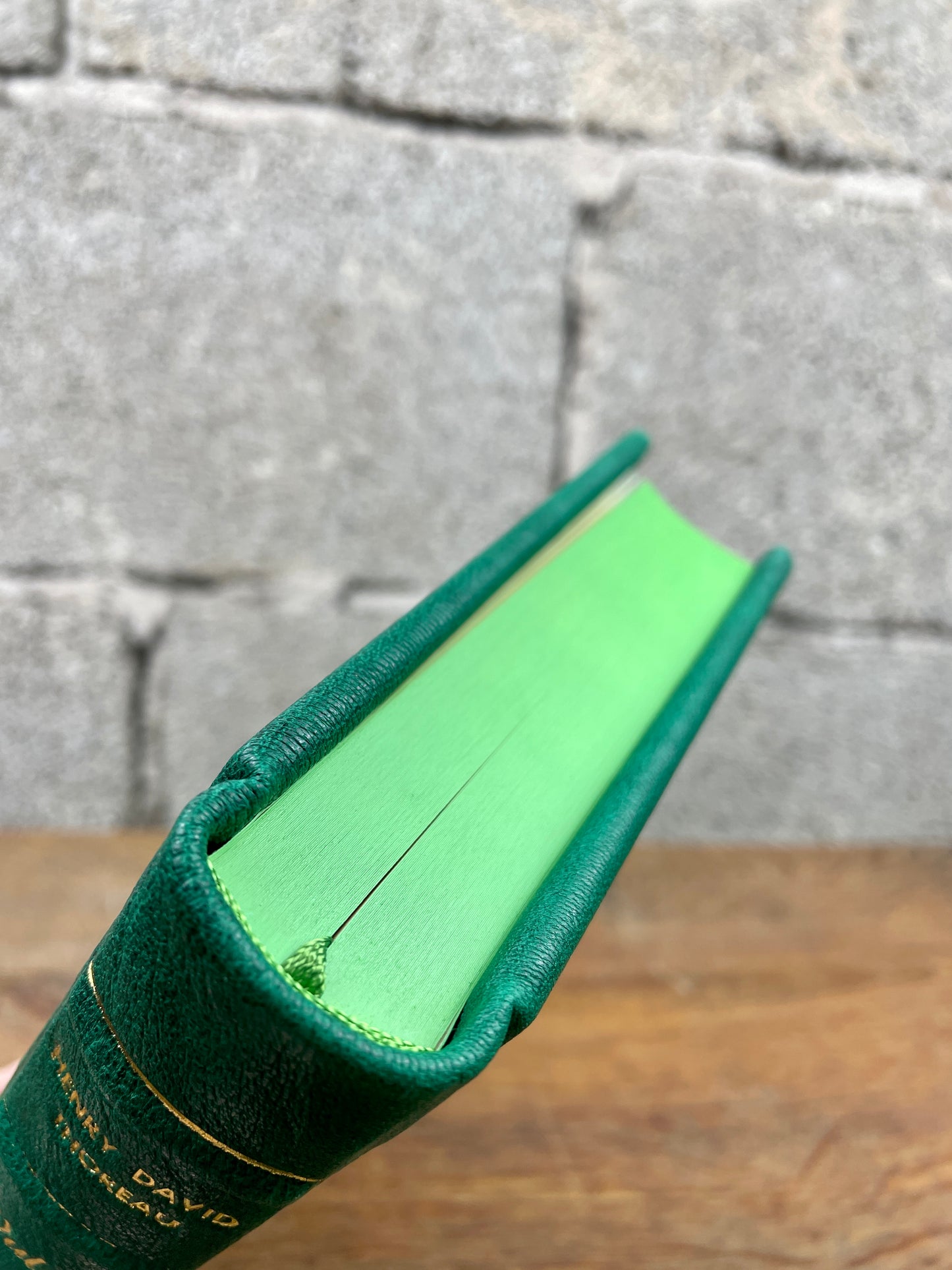Henry David Thoreau - Walden - oder das Leben in Wäldern - Ledereinband -