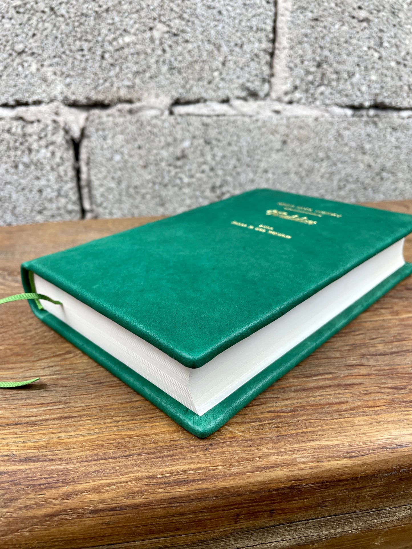 Henry David Thoreau - Walden - oder das Leben in Wäldern - Ledereinband -