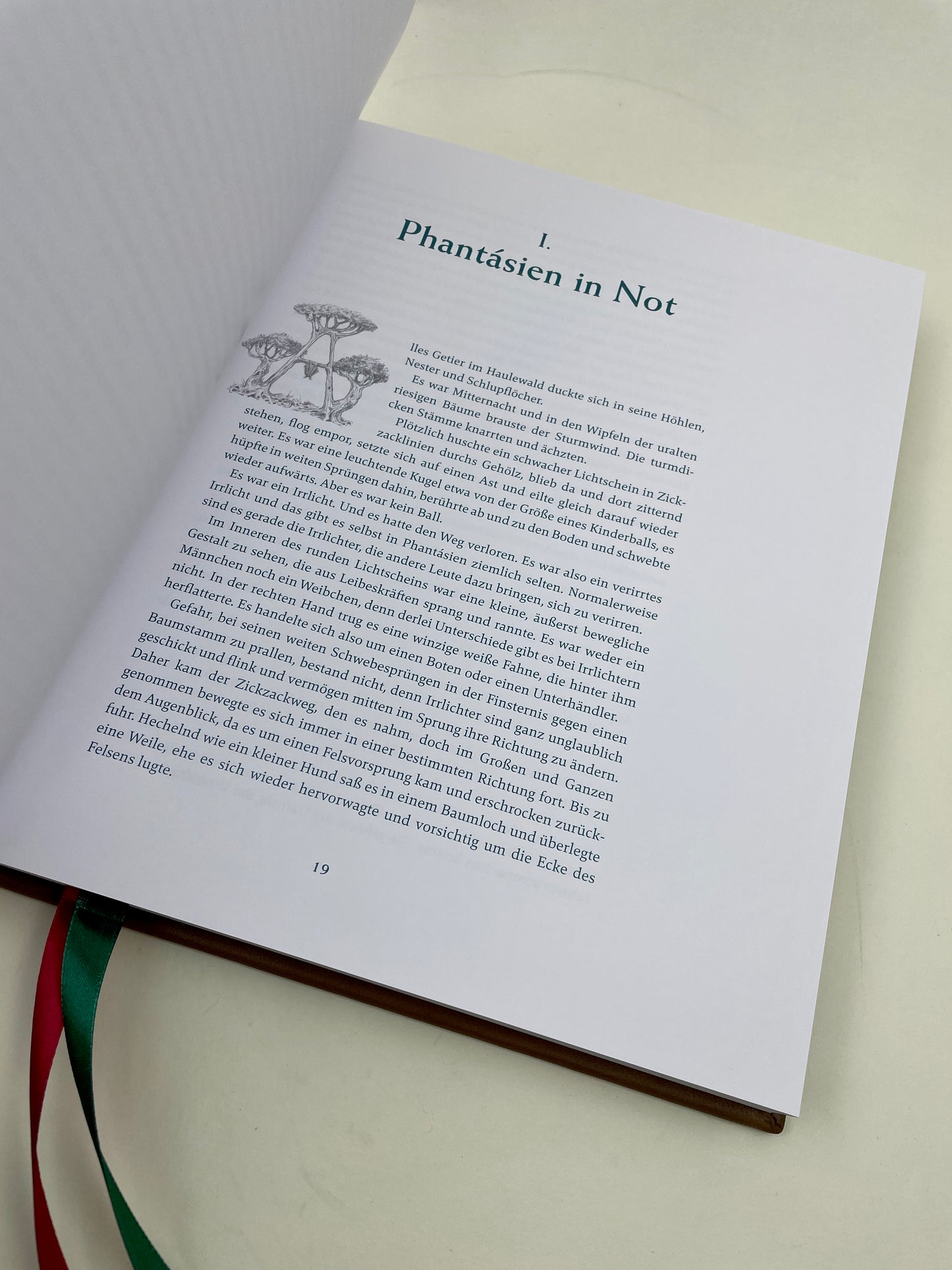 Die unendliche Geschichte – Individueller Ledereinband – Unikat – große Ausgabe