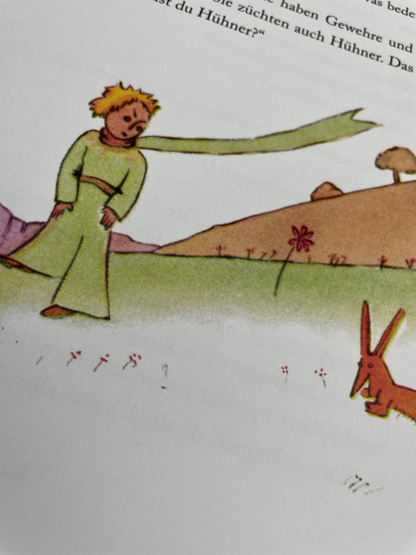 Der kleine Prinz - Antoine de Saint-Exupéry - Widmung / Namensprägung möglich